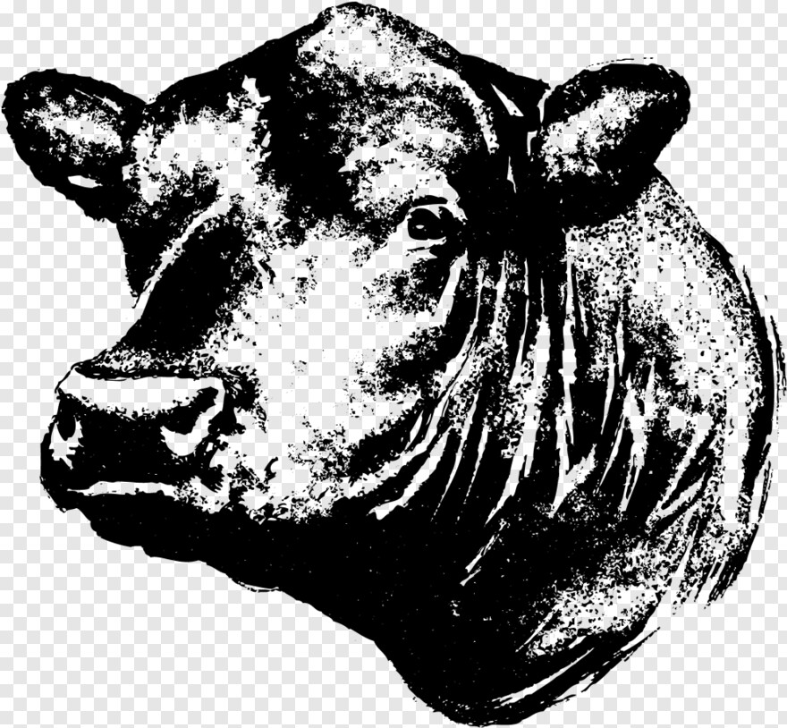 bull-head # 514129