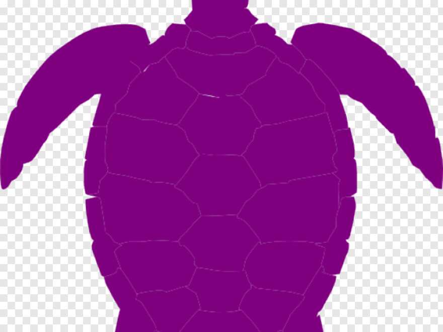 sea-turtle # 646975