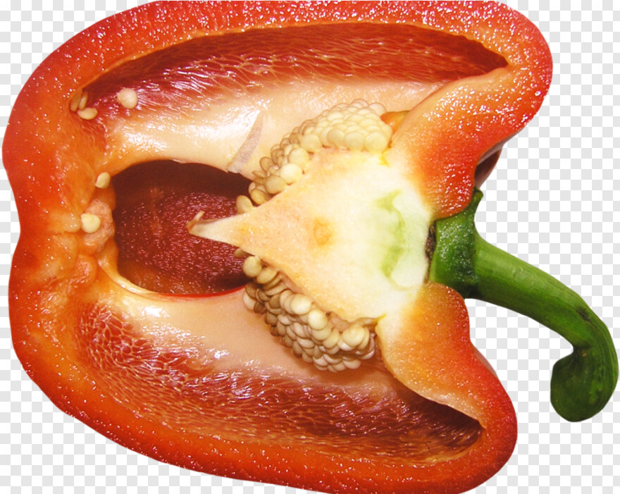 hot-pepper # 375834