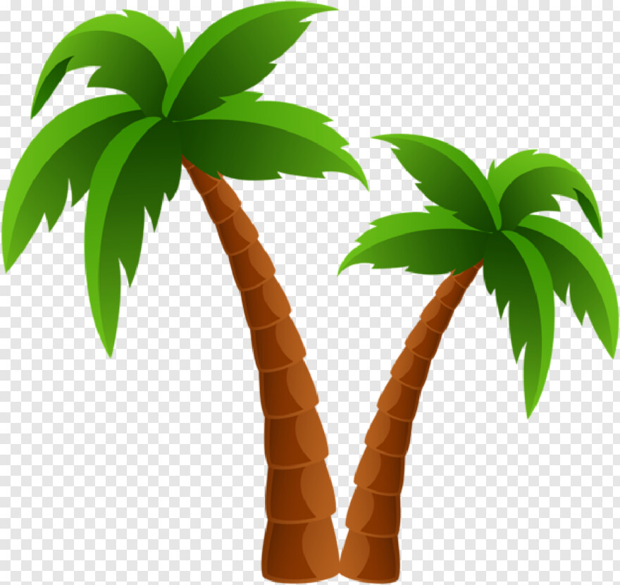 palm-tree # 461563