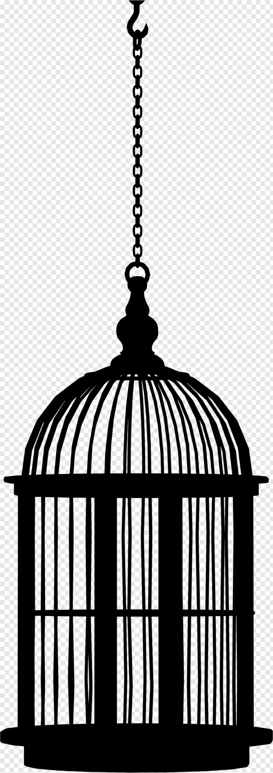 bird-cage # 360011