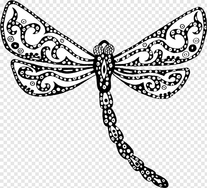 dragonfly # 1058442
