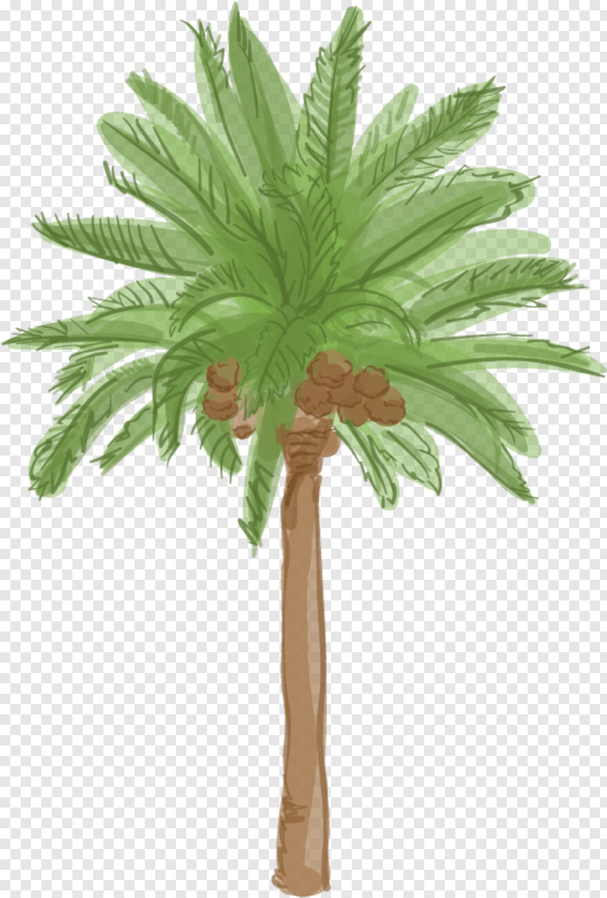 palm-tree-clip-art # 460065