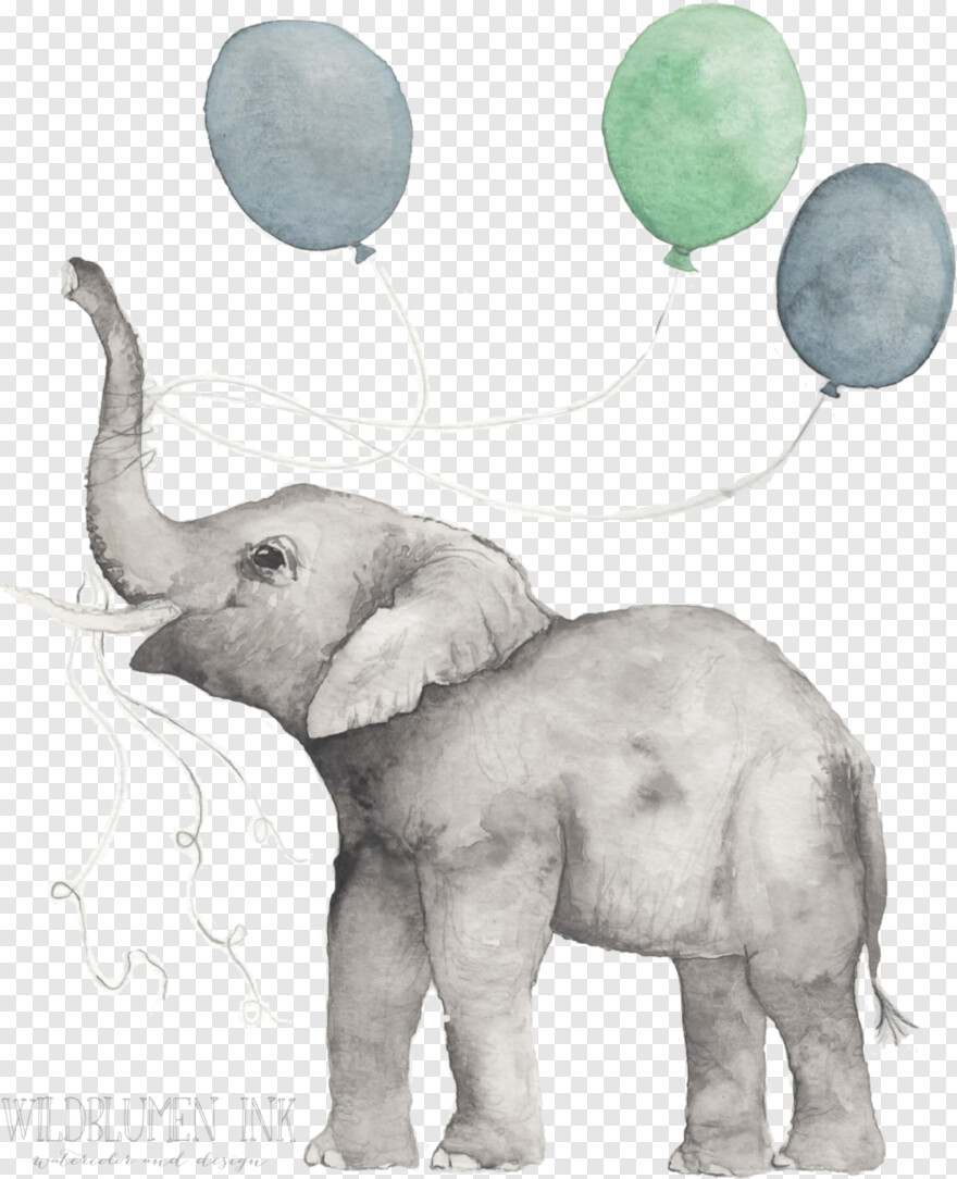 elephant # 869017