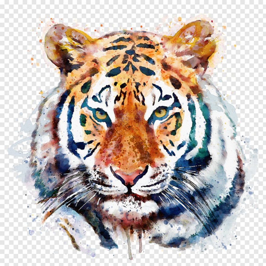 tiger # 489891