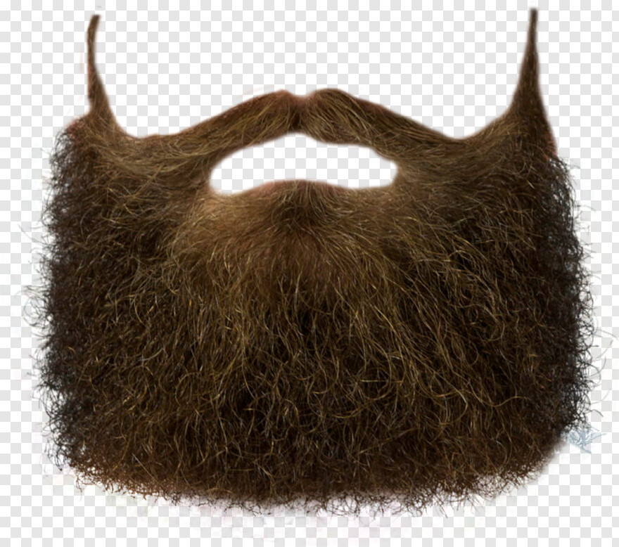 beard # 470590