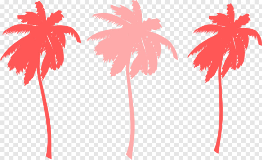 palm-tree # 460519