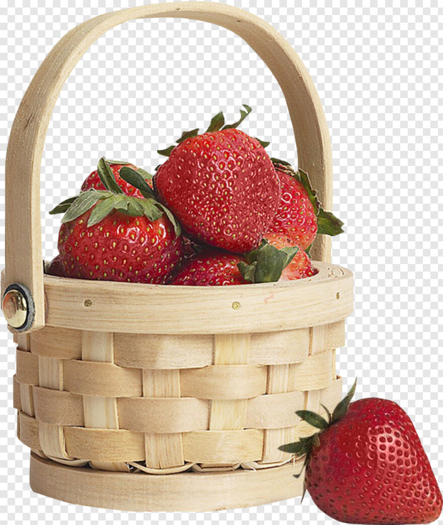 picnic-basket # 398554