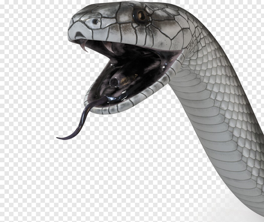 snake-tongue # 352118