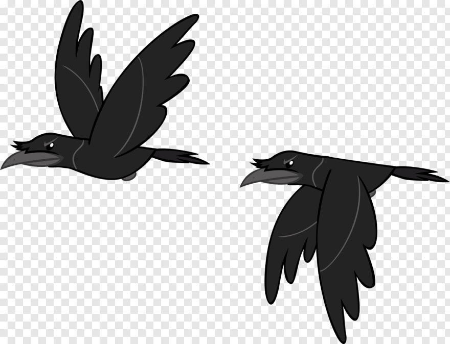 flying-crow # 512378