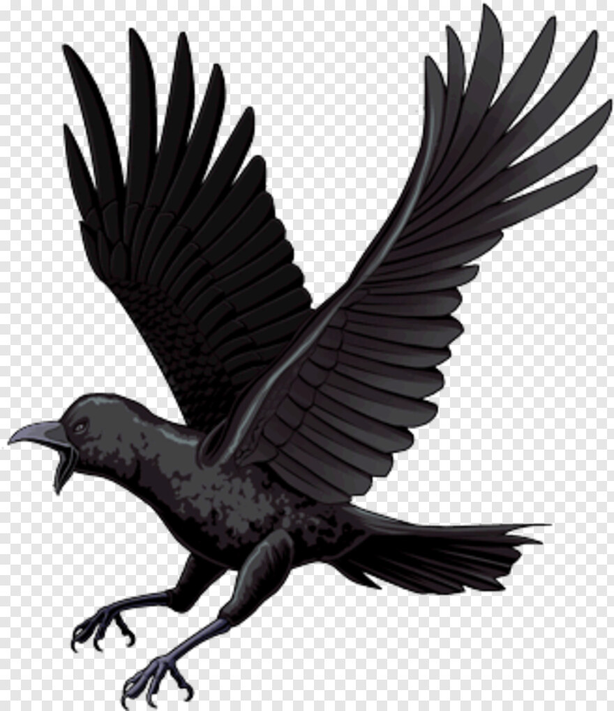 crow # 361709