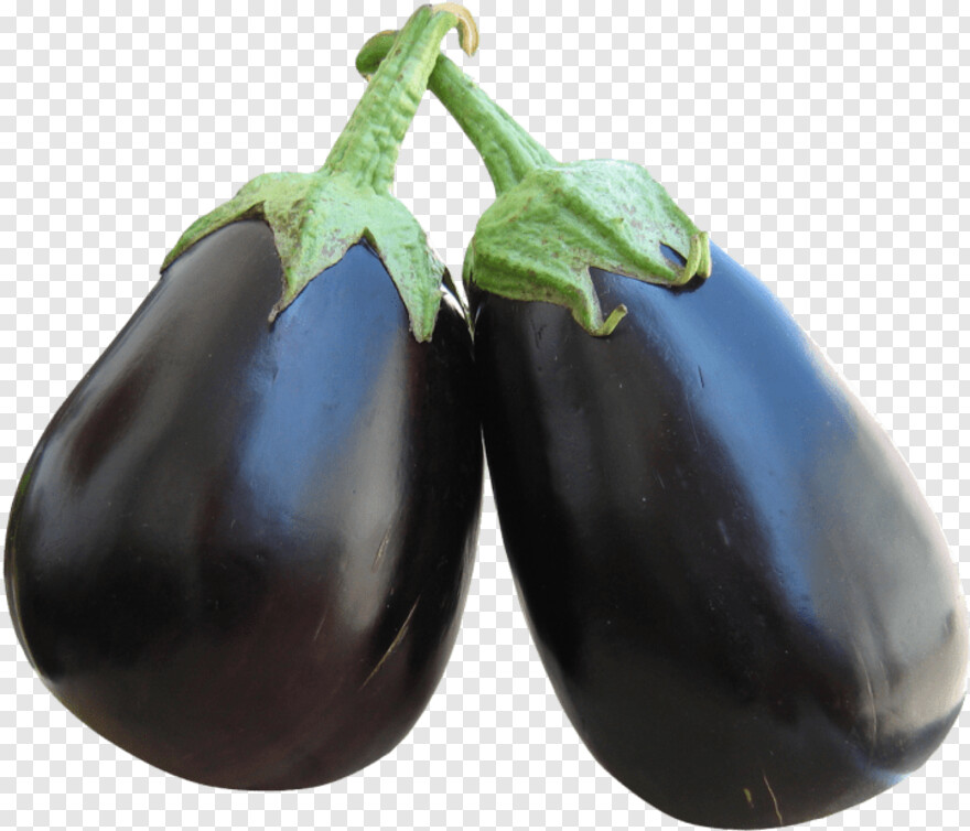 eggplant # 1112640