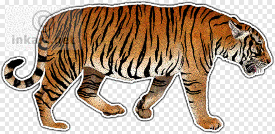tiger-paw # 1059225