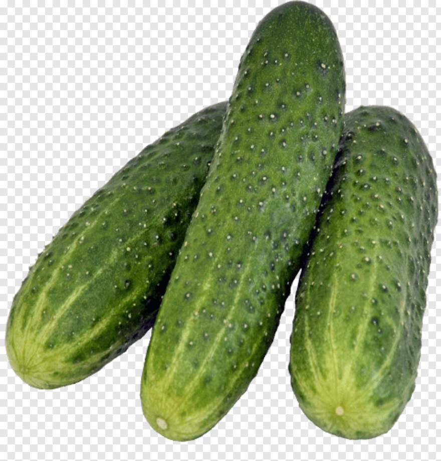 cucumber # 938095