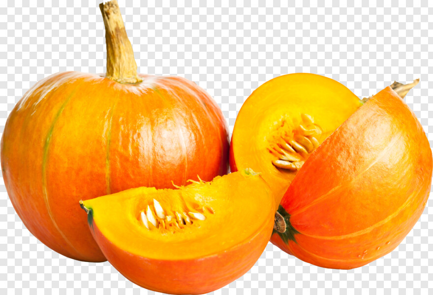 pumpkin # 641217