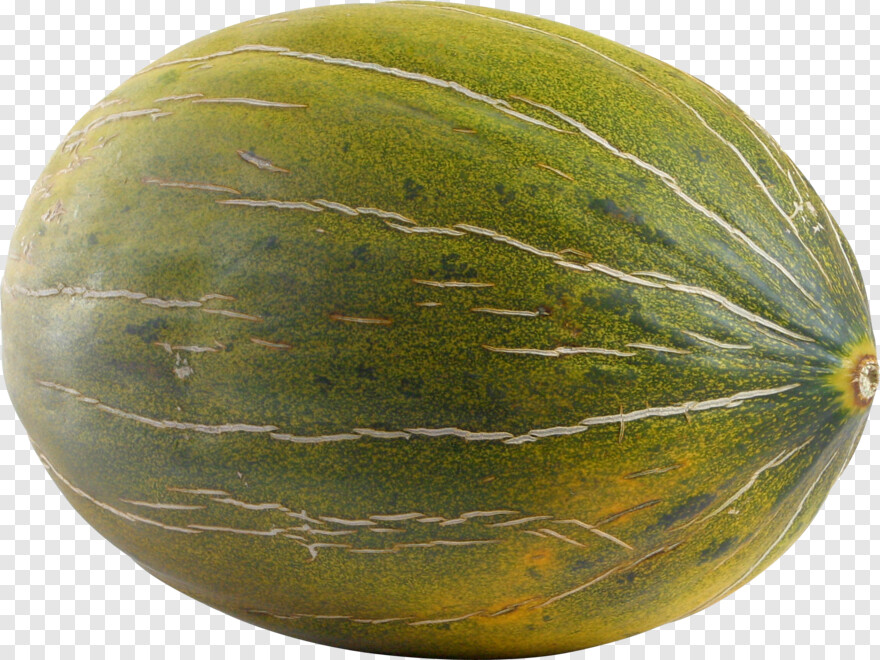 melon # 695684