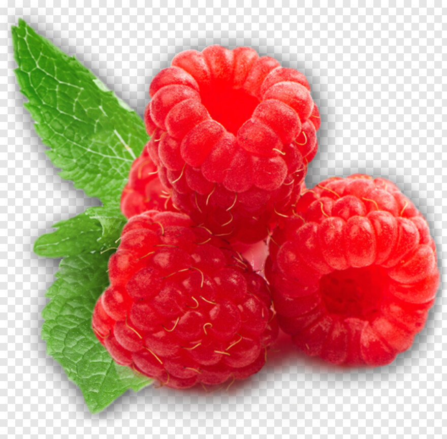 raspberry # 638496