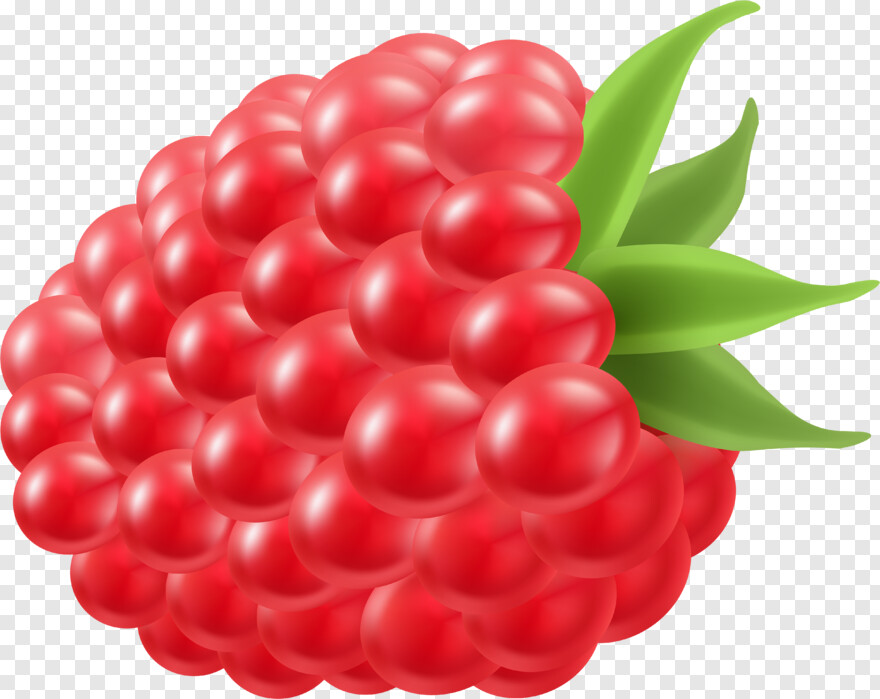 raspberry # 999949