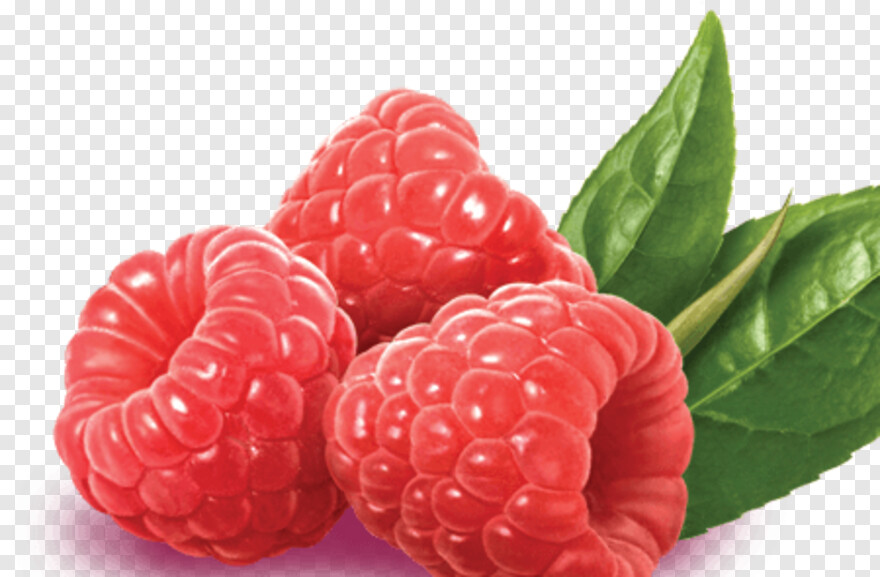 raspberry # 952877