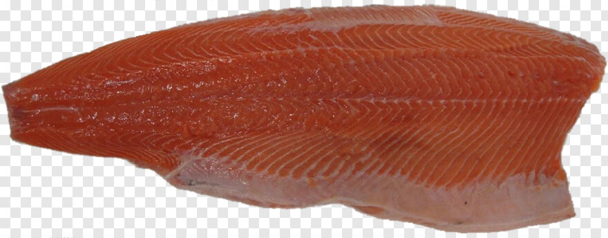 salmon # 1090987