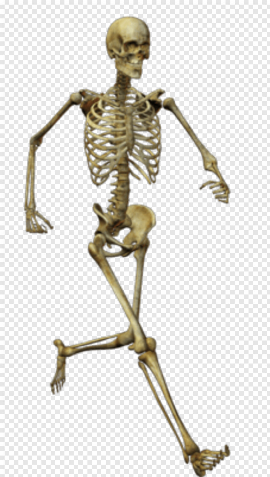 skeleton # 630840