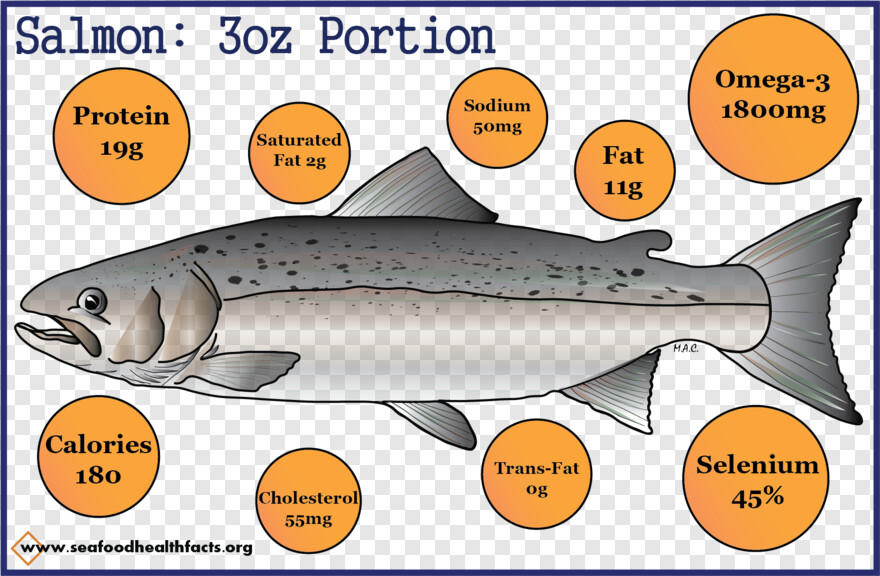 salmon # 660283