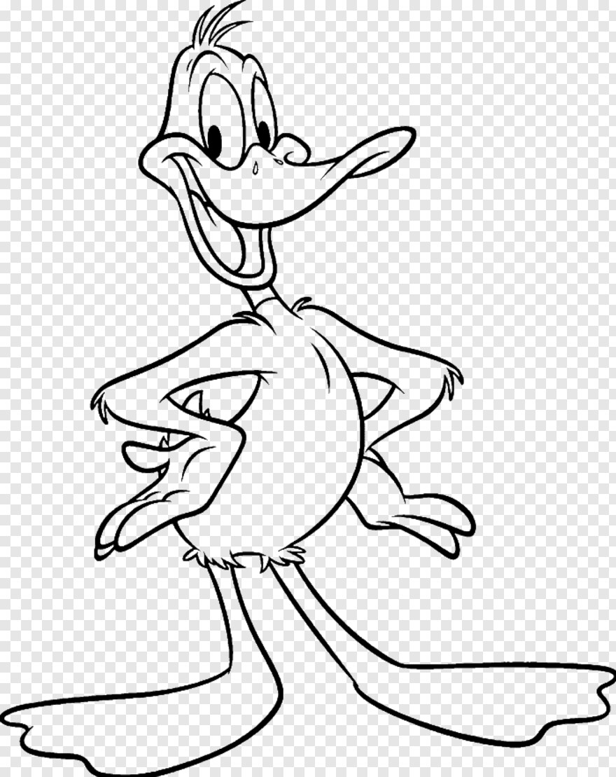 daffy-duck # 1058204