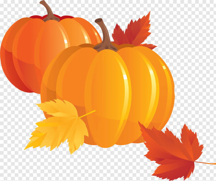 pumpkin-emoji # 441996