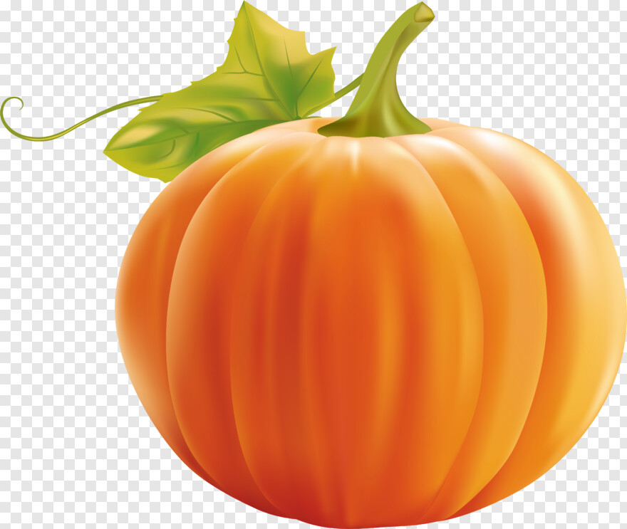 pumpkin # 641150