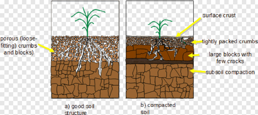 soil # 973055