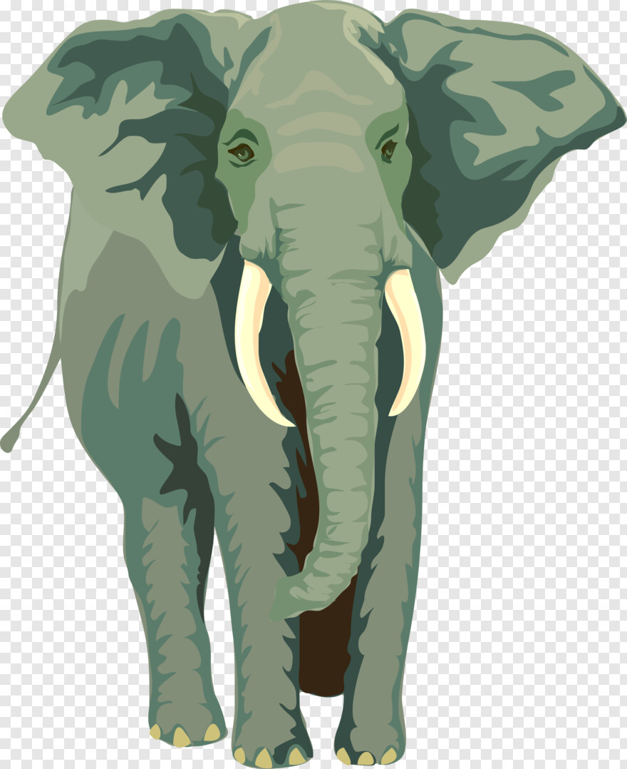 elephant # 558170