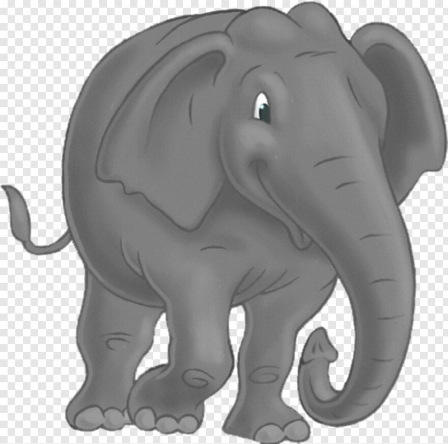elephant # 512292