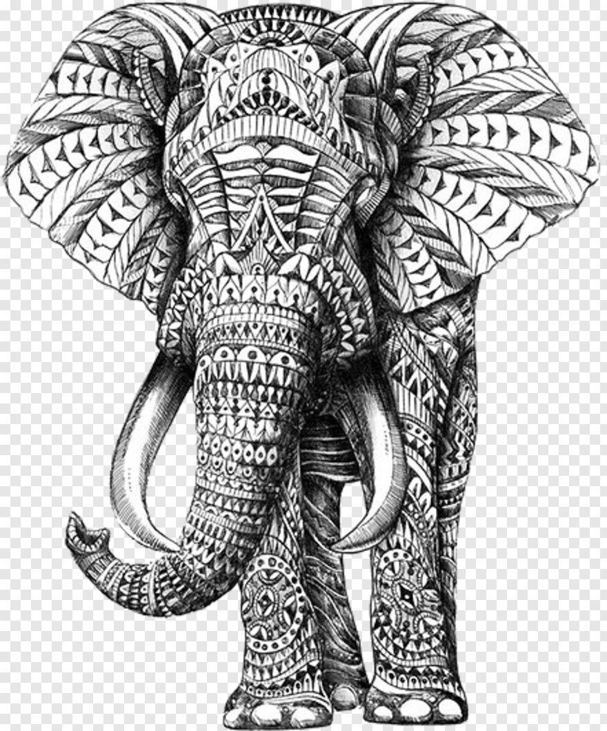 elephant # 884489