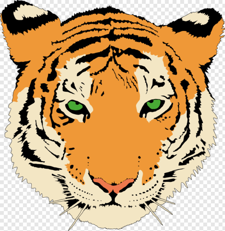 tiger # 470453