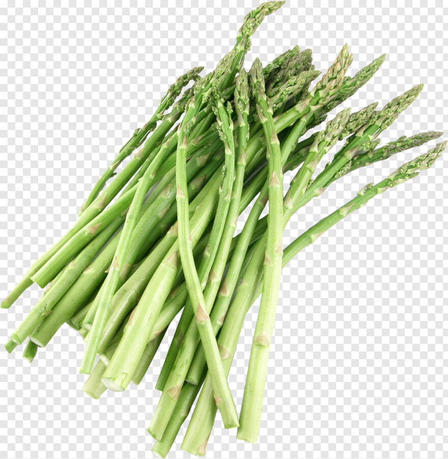 asparagus # 468482