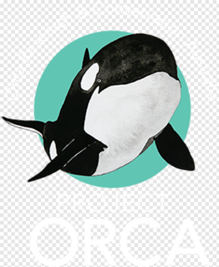 orca # 731382