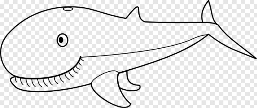 whale-shark # 666782