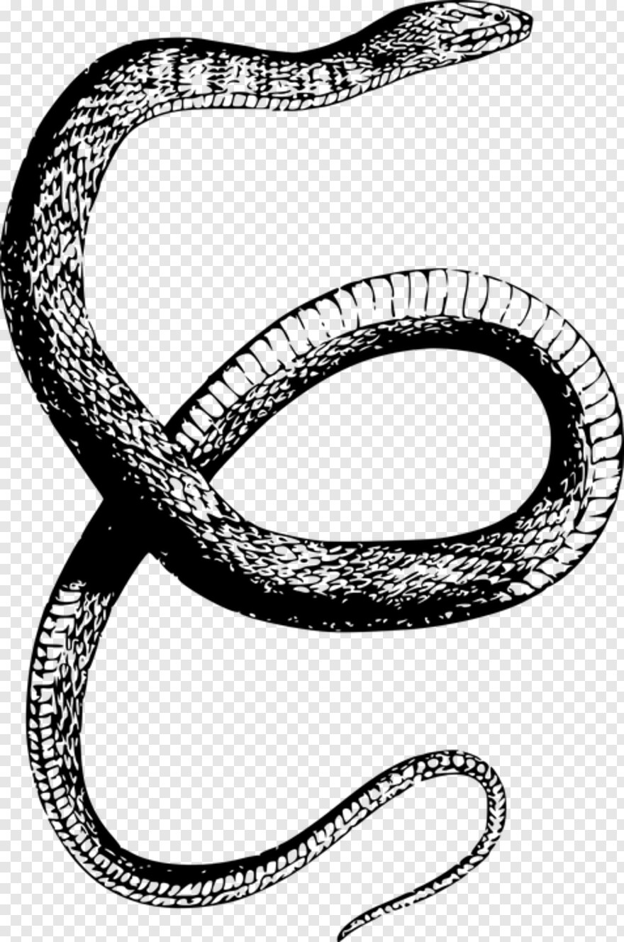gucci-snake # 527382