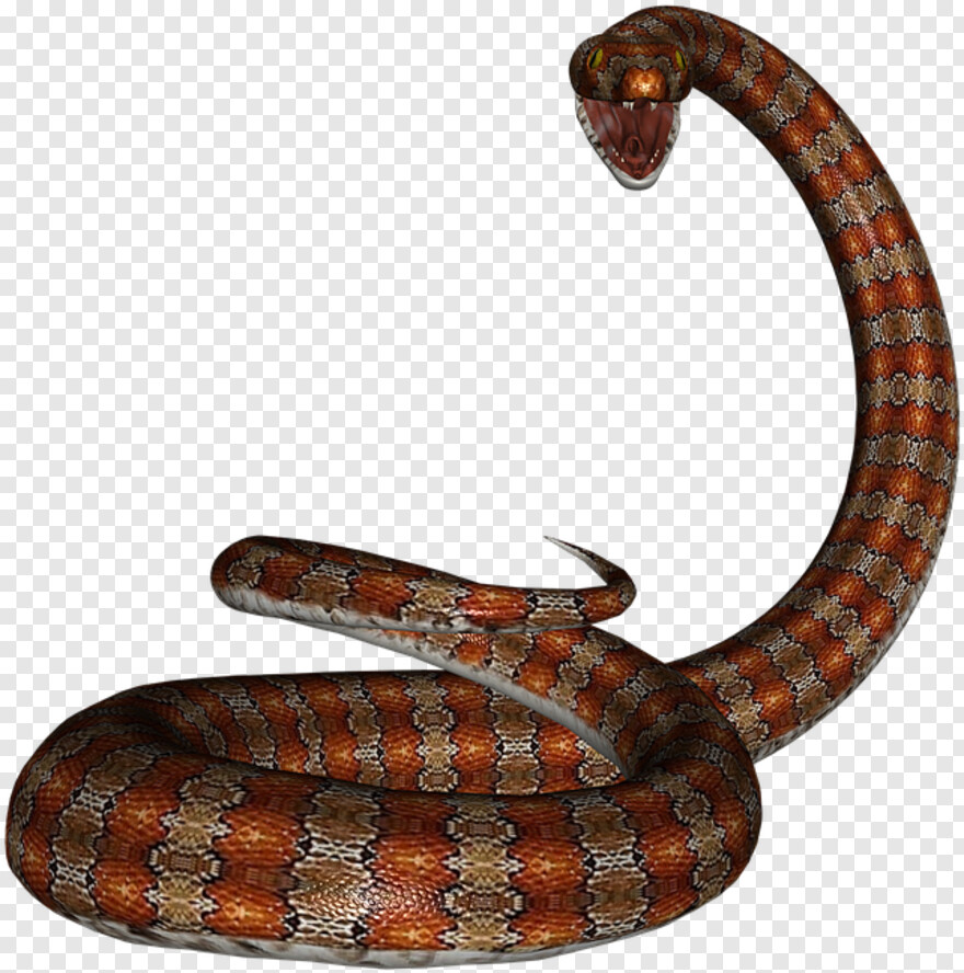 gucci-snake # 1055927