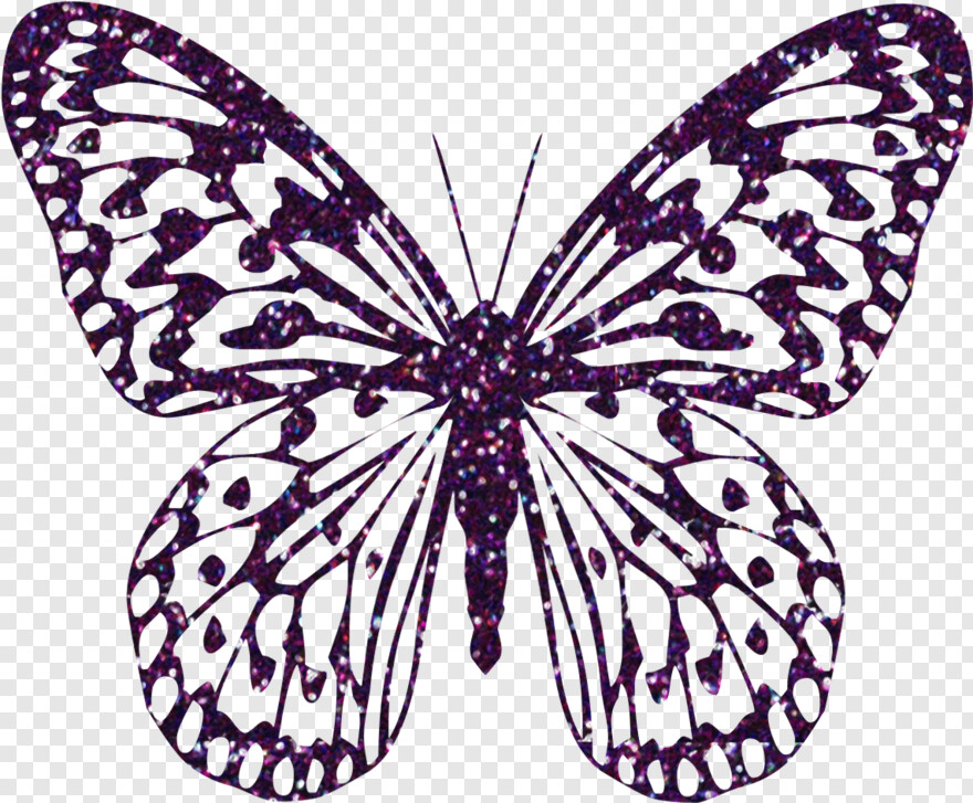 butterfly # 1094956