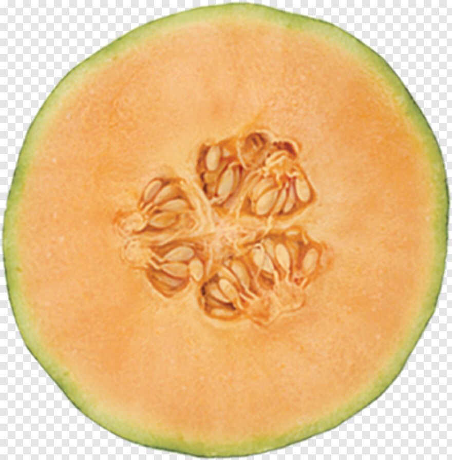 melon # 529205