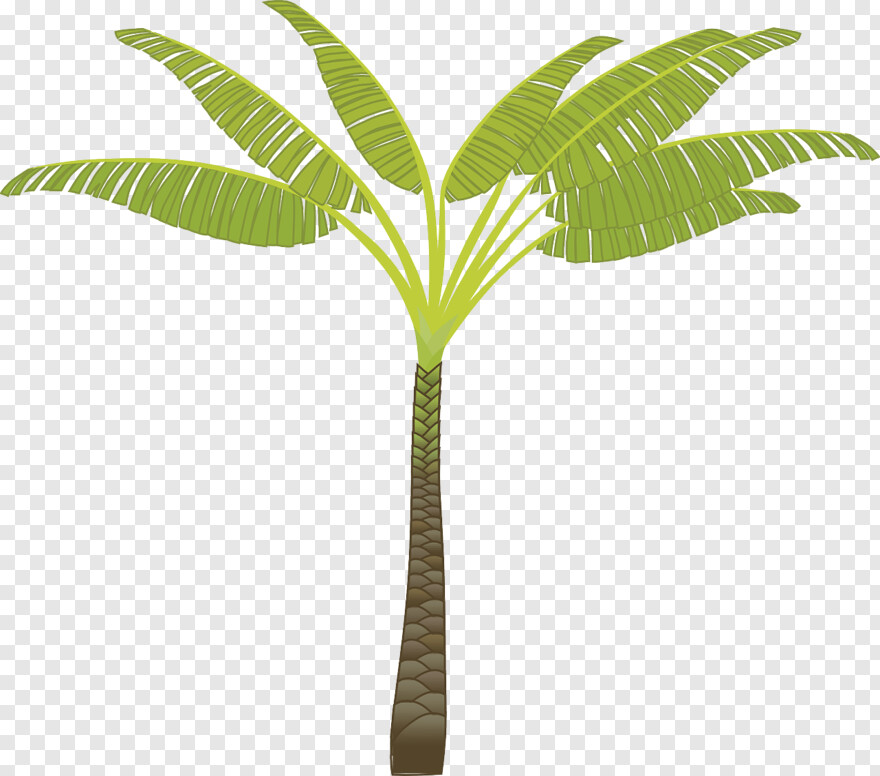 palm-tree # 460515