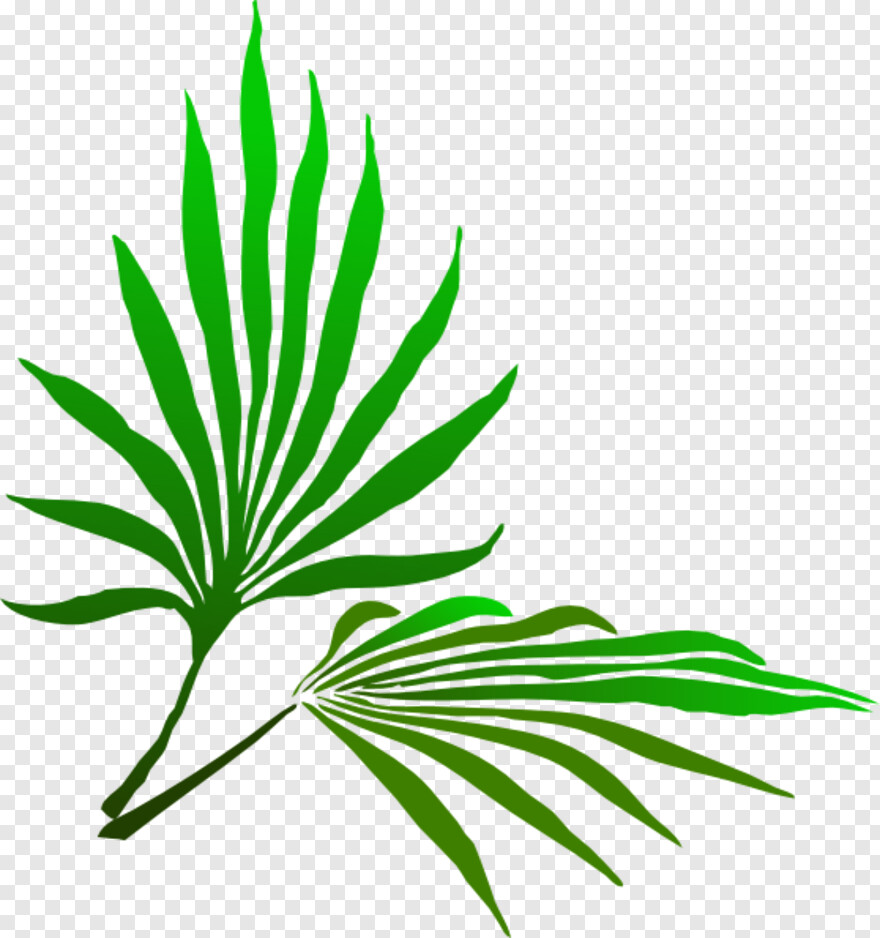 palm-tree-clip-art # 459890