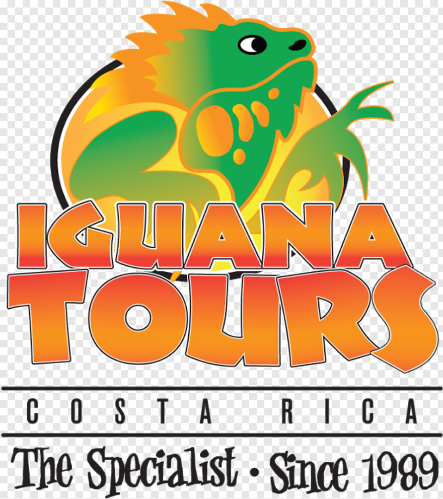 iguana # 512178
