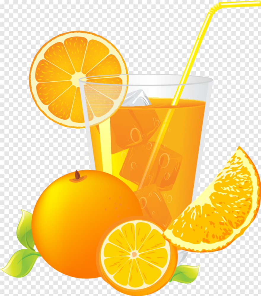 orange-juice # 500057