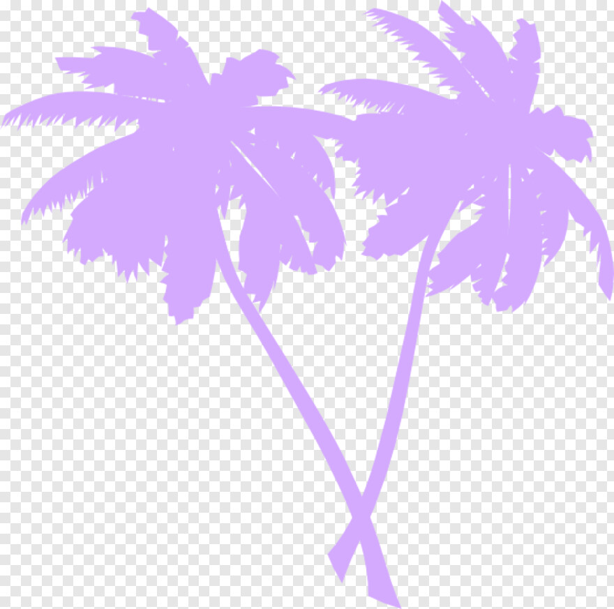 palm-tree # 461614