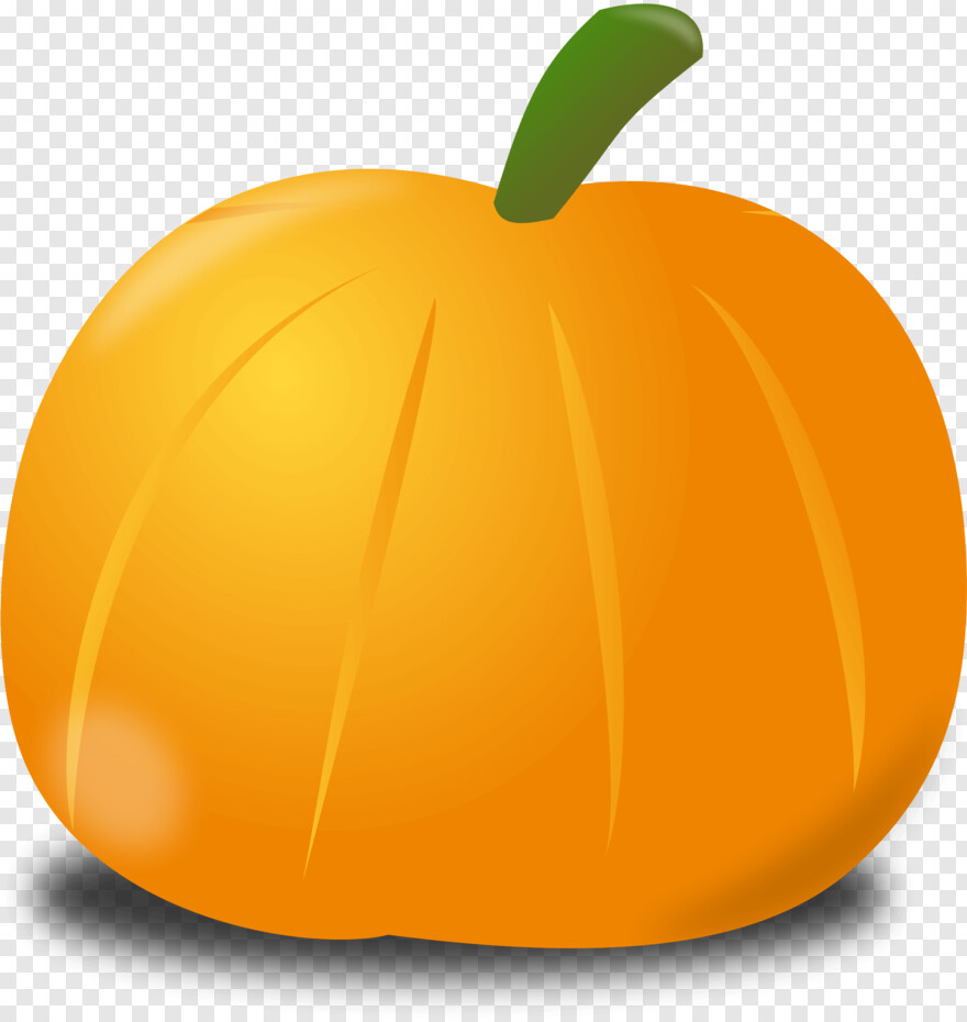 pumpkin # 1000270