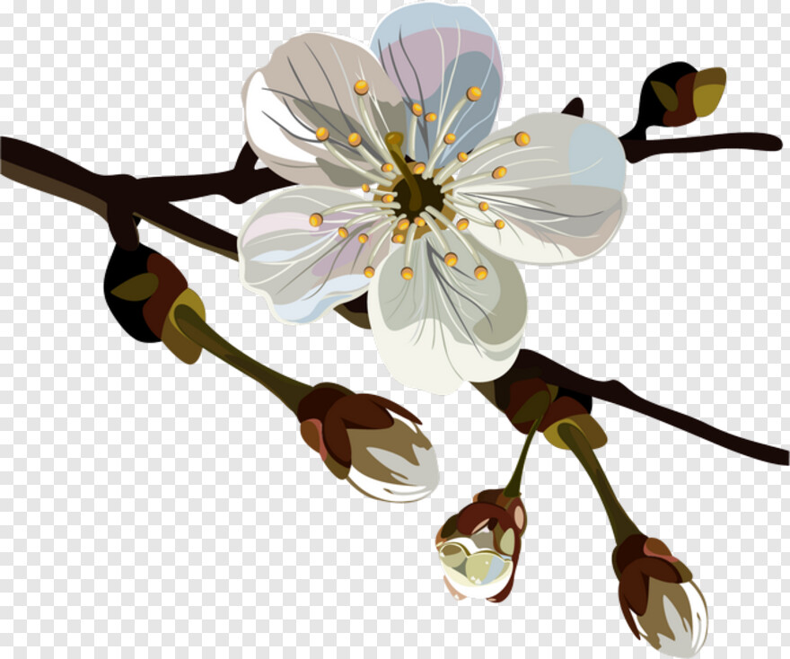 floral-vector # 344411
