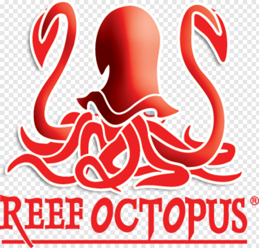 octopus # 671820