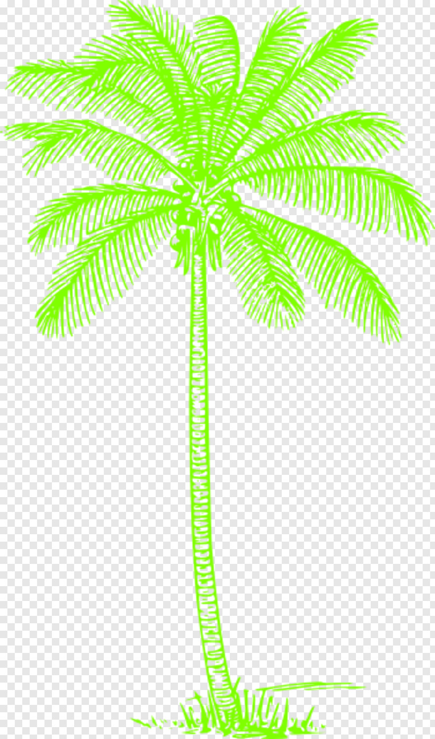 palm-tree # 460484